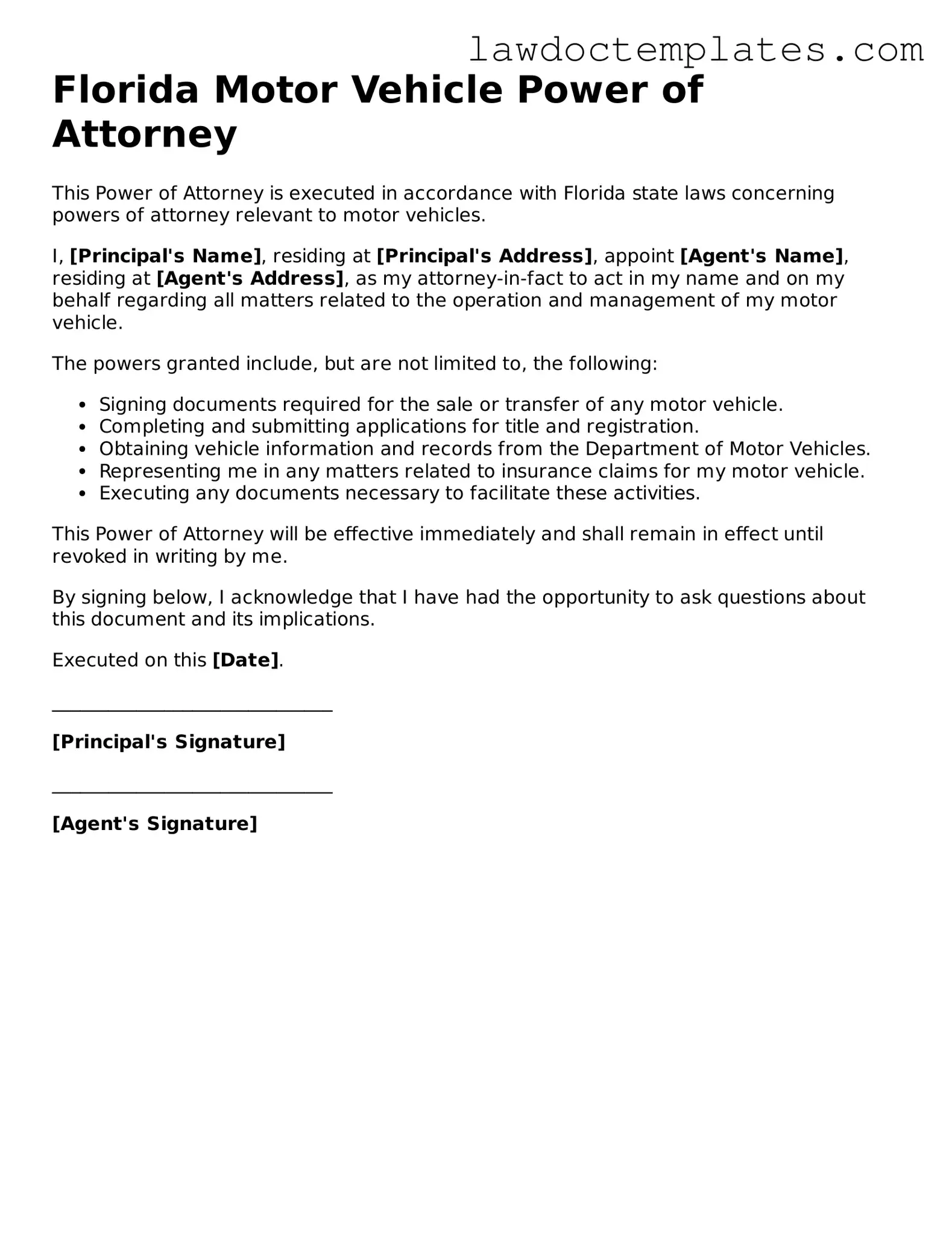 Motor Vehicle Power of Attorney Document for Florida State