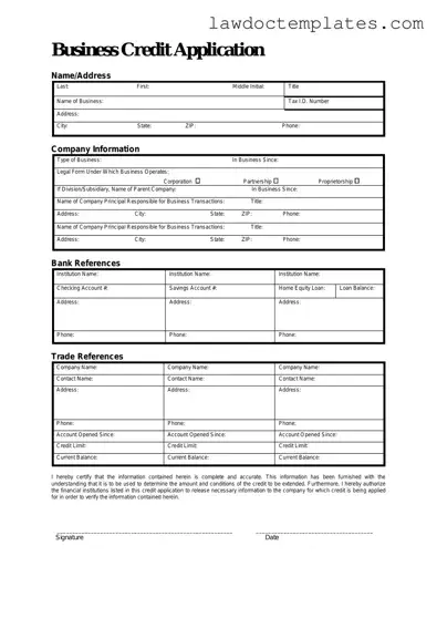 Fill Your Business Credit Application Form