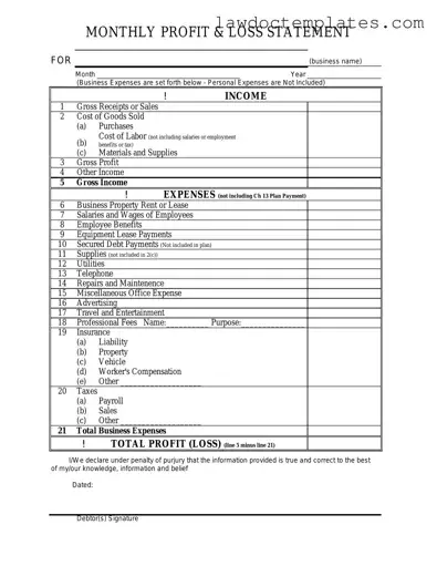 Fill Your Profit And Loss Form