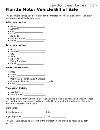 Motor Vehicle Bill of Sale Document for Florida State