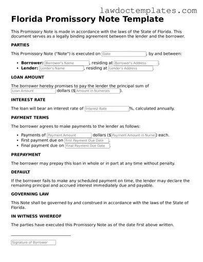Promissory Note Document for Florida State