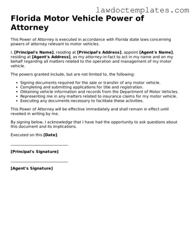 Motor Vehicle Power of Attorney Document for Florida State
