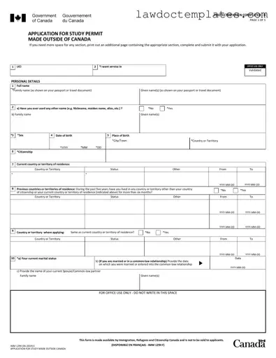 Fill Your Imm 1294 Form